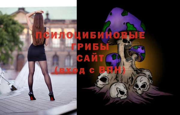 синтетический гашиш Бородино