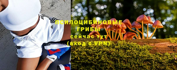 синтетический гашиш Бородино