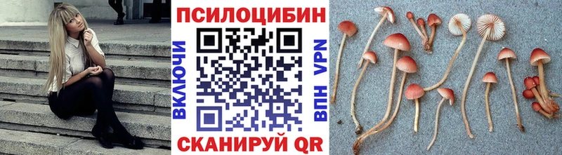Псилоцибиновые грибы ЛСД  Славянск-на-Кубани 