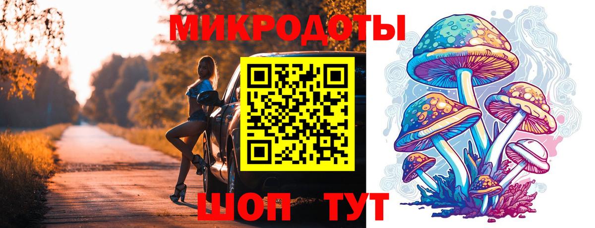 Славянск-на-Кубани  Псилоцибиновые грибы мухоморы  даркнет сайт  Вход с VPN 