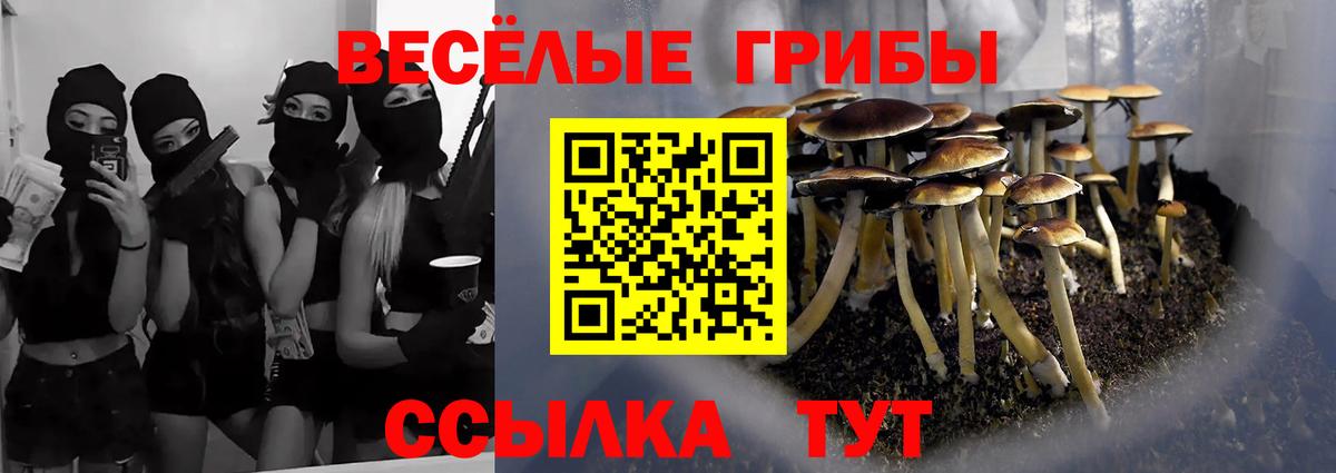 Галлюциногенные грибы Magic Shrooms Славянск-на-Кубани